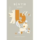 Binth Alphabet: Notecards: 26 Notecards and Envelopes by  Binth