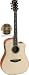 Acoustic Guitar - Faith Natural Range - Saturn Cutaway - Sha