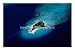 Aerial View of Island Atolls with Resort, Maldives, Photographic Print by Michael Aw, 24x18