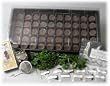 Indoor Herbal Tea Herb Garden Starter Kit- Grow & Brew Fresh Herbal Teas- Seeds: Lavendar, Lemon