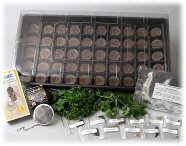 Indoor Deluxe Herbal Tea Herb Garden Starter Kit - Grow & Brew Fresh Herbal Tea - Seeds: Lavendar, Lemon Grass, Citrus Marigold, Angelica, Chamomile, Rosemary, Lemon Bergamot, Feverfew, Catnip, Anise, Lemon Balm, Sage