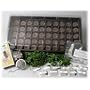 Indoor Herbal Tea Herb Garden Starter Kit- Grow & Brew Fresh Herbal Teas- Seeds: Lavendar, Lemon Grass, Chamomile, More