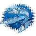 Kingfish Adult Long Sleeve T-Shirt Image