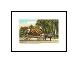 Giant Pineapple on Wagon, Florida Humor Pre-Matted Poster Print, 11x14