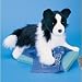 Plush Chase Border Collie 16"