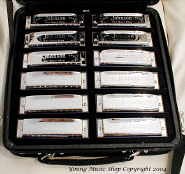 MusicalInstruments: Johnson Blues King Harmonicas Set
