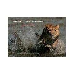 Relentless Enemies: Lions and Buffalo