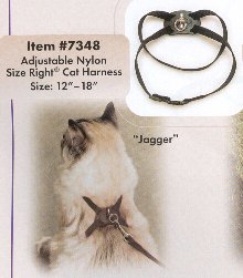 Coastal Size Right Cat Harness 3/8 inch Blue