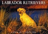 Labrador Retrievers