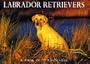 Labrador Retrievers Postcard Book