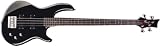 Electric Bass Guitars