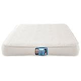 AeroBed Ultimate Air Mattres
