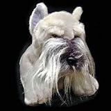 Hand Puppet w/Sound - Dog 