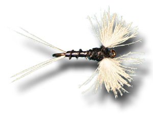 CDC Biot Spinner - Fishing Fly