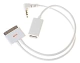 SiK ram din (white) FireWire and Line-out adapter for iPod
