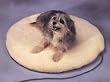 Small Heated Pet Bed