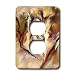 Search : Digital Artwork Design - Madonna - Light Switch Covers - 2 plug outlet cover