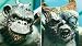 McFarlane Toys Club Exclusive Twisted Land of Oz: Flying Monkeys and Munchkin_s-2