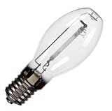 Litetronics 30230 - L-4113 Light Bulb