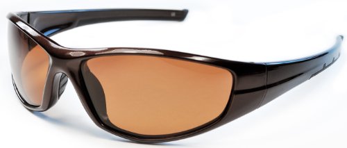 Hilton Bay Polarized Sunglasses APL25