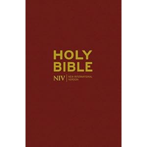 NIV Popular Bible (Bible Niv) [Hardcover]