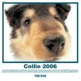 The Dog Collie 2006 Calendar (Artlist Collection)