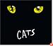 Cats UK