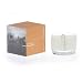 APOTHIA Los Angeles - Bronzed Votive Candle