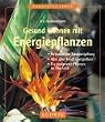 Gesund wohnen mit Energiepflanzen