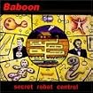 Secret Robot Control