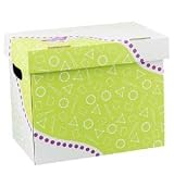 FILE N SAVE SYSTEM FILE FOLDER BOX 12 X 8 X 10