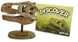 Toys : Dinosaur Skull Excavation Kit, 4 Designs