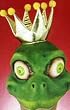 Frog Prince Costume Mask
