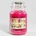 22OZ FRUIT SMOOTHIE YANKEE CANDLE