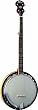 Washburn Banjo, 5 String