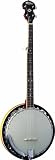 Washburn Banjo, 5 String