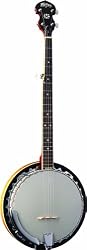 Washburn Banjo, 5 String