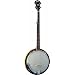 Washburn Banjo, 5 String