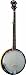 Washburn Banjo, 5 String