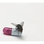 I'm With You von Red Hot Chili Peppers