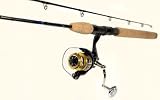 Doug Hannon's DH 3000 Wave Spin Spinning Reel