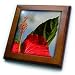 Bunga Raya - bunga raya, flower, flowers, hibiscus, hibiscus rosa sinensis, plant, plants - 8x8 Framed Tile
