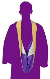 Master's Hood Citron (Leadership)