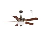 31TLSQ7iDDL. SL160  Litex CA52OG5CR Cadoux 52 Inch Five Blade Ceiling Fan with Remote Control with Scavo Glass Light