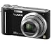PANASONIC Lumix DMC-TZ6 - black + DMW-CT3E-K Black Leather Case + 8 GB SDHC Memory Card