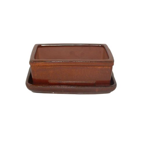 16cm Brown Bonsai Pot and Tray Set
