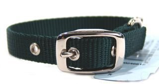 Single Thick Nylon Deluxe Dog Collar, 5/8