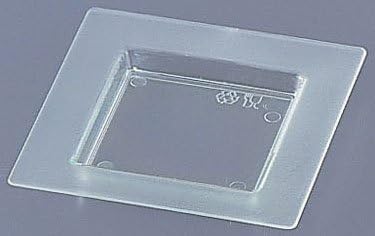 Plastic Square Plate 2.9 In. Pack: 200 - Sea Green