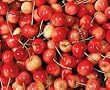 clear cherry flavor extract