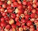 clear cherry flavor extract